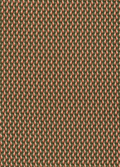 OTOÑO VERDE MARRON