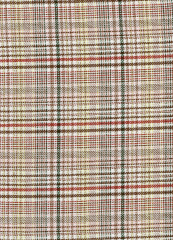 PRINCIPE DE GALES VERDE MARRON