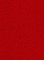 NAVIDAD RAMITAS FONDO ROJO
