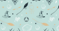 HARRY POTTER FONDO MINT