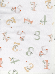 NUMEROS DE COLORES