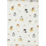 GATOS Y CAMAS
