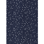 NAVIDAD ESTRELLA PLATA FONDO AZUL