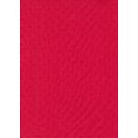 PLUMETI ROJO SANGRE